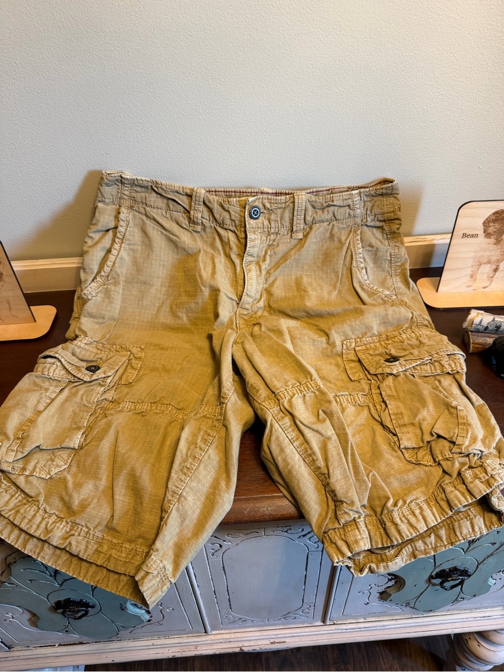 American Eagle Outfitters Tan Cargo Shorts